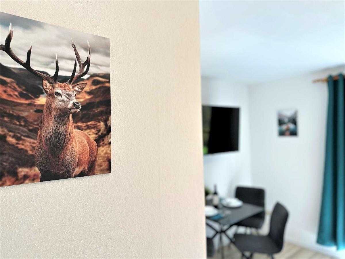 Cozy Apartment In Bavarian Forest +Pool +Sauna +Netflix Zwiesel Exterior photo