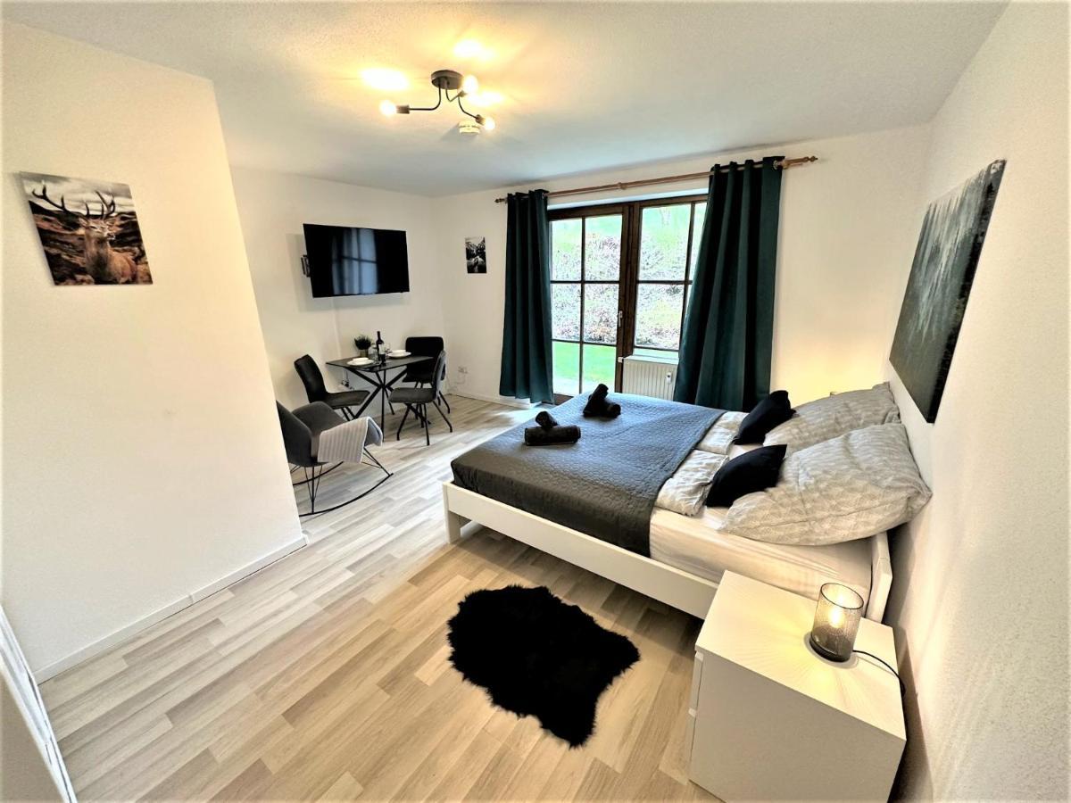 Cozy Apartment In Bavarian Forest +Pool +Sauna +Netflix Zwiesel Exterior photo